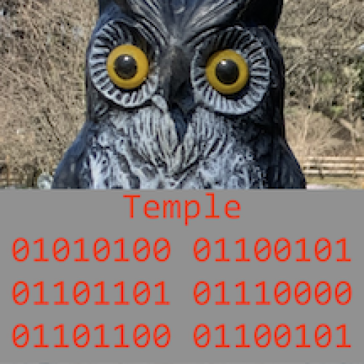 cropped-Towl.png