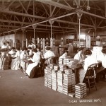 T&O Cigar Banding Department, 1900