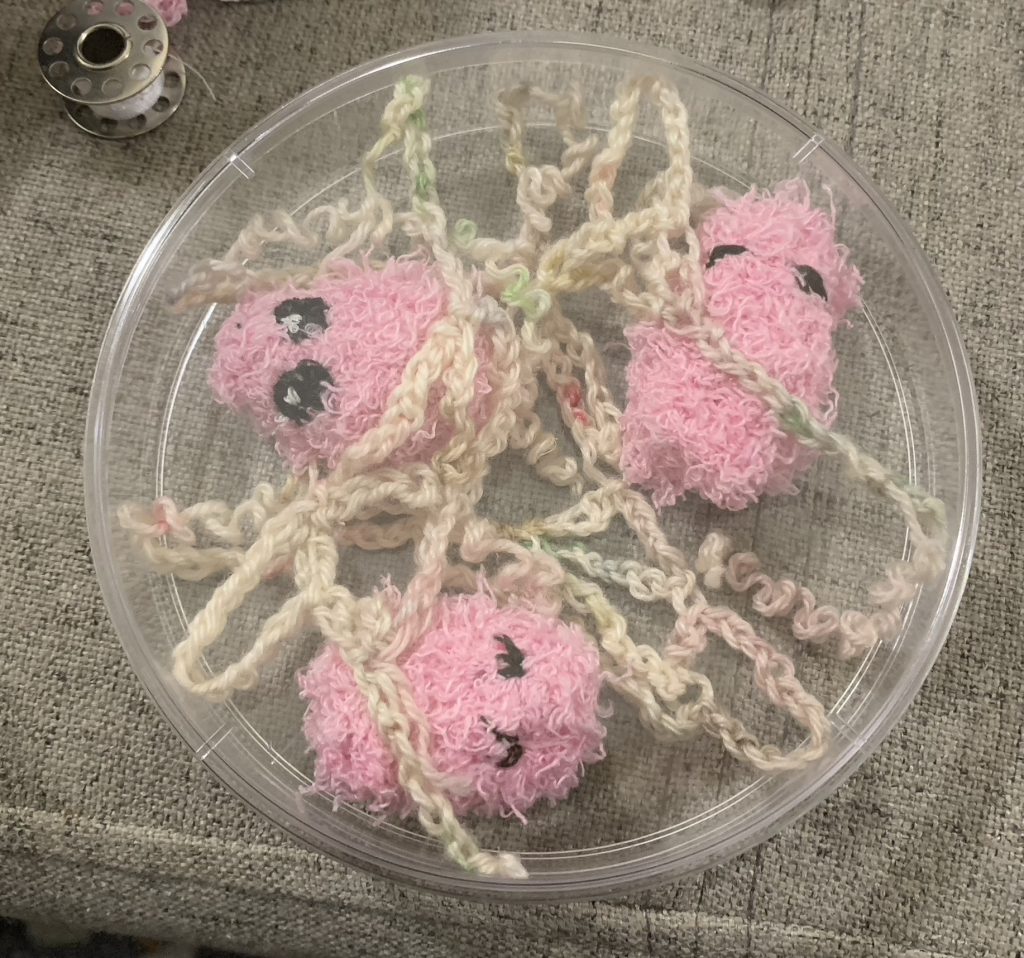 Crochet biofilm in a large petri dish