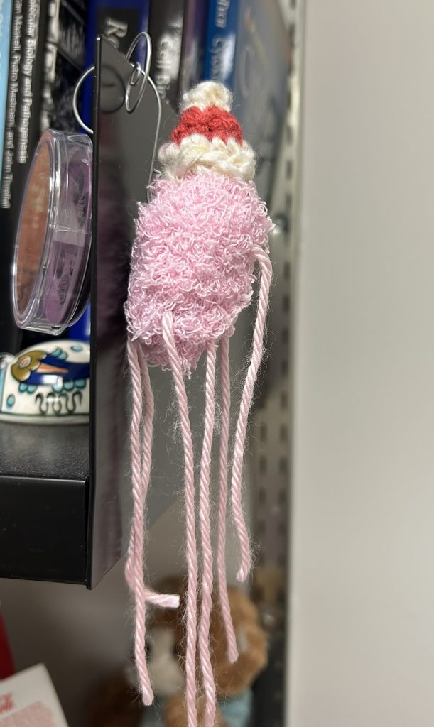 crochet Salmonella with a Santa hat