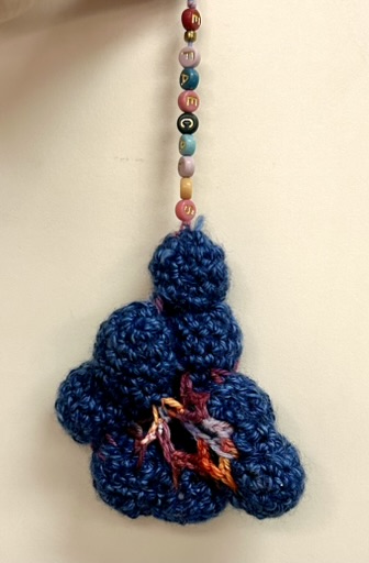 crochet Enterococcus faecalis