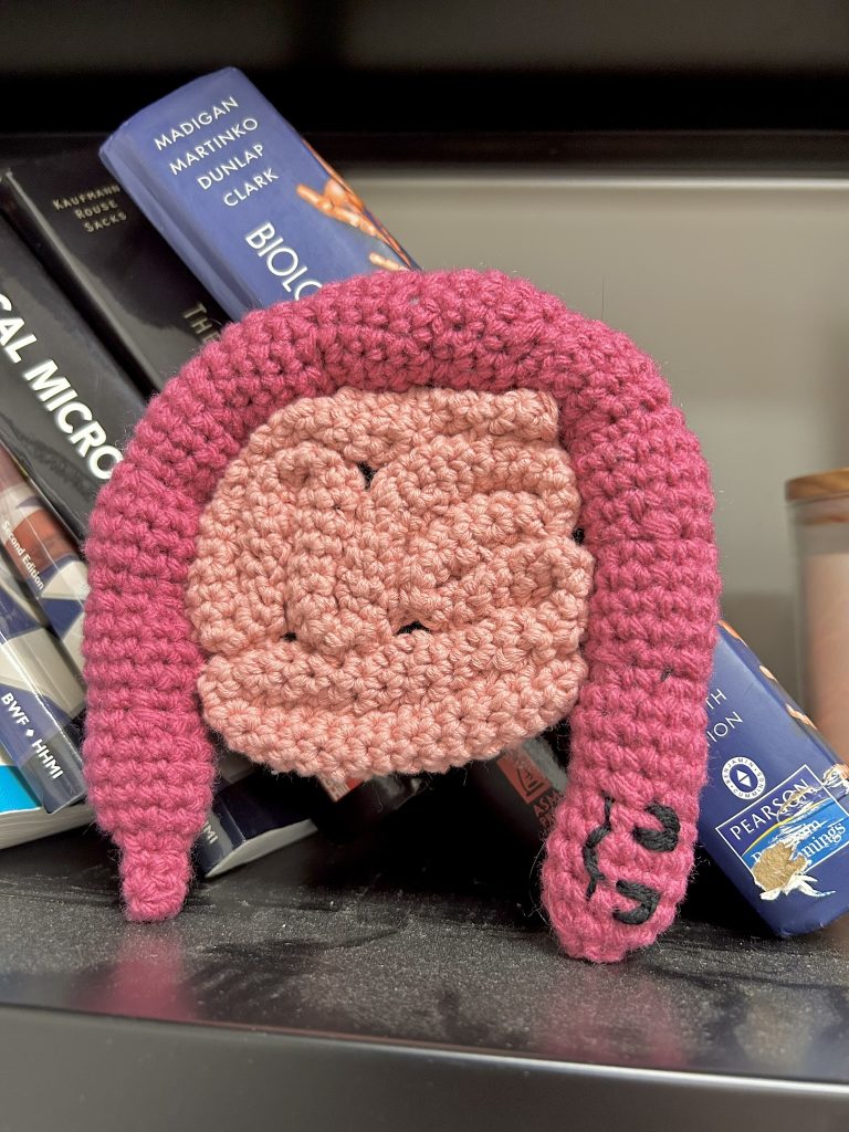Crochet intestines