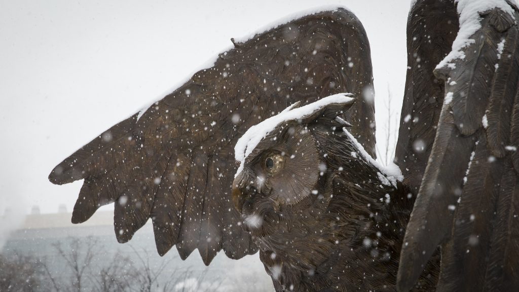 Stella the Owl Statue covered in snow. 