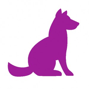 dog_purple