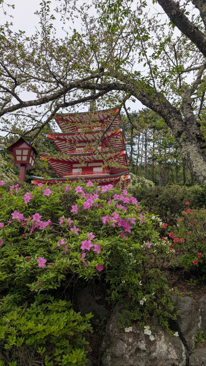 Pagoda behind shrubbery and trees