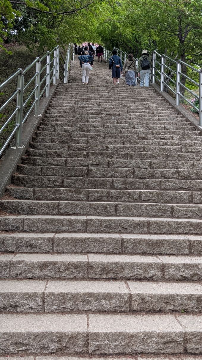 Long flight of stairs