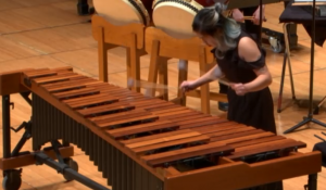 photo of xylophone