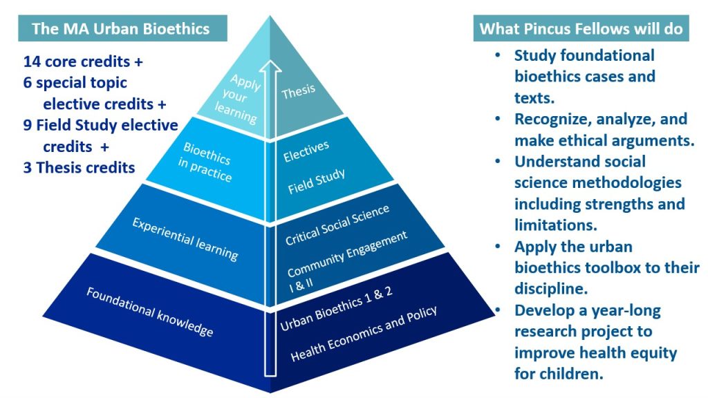 Visual representation of the course progression and learning objectives for the MA in Urban Bioethics for Pincus Fellows.