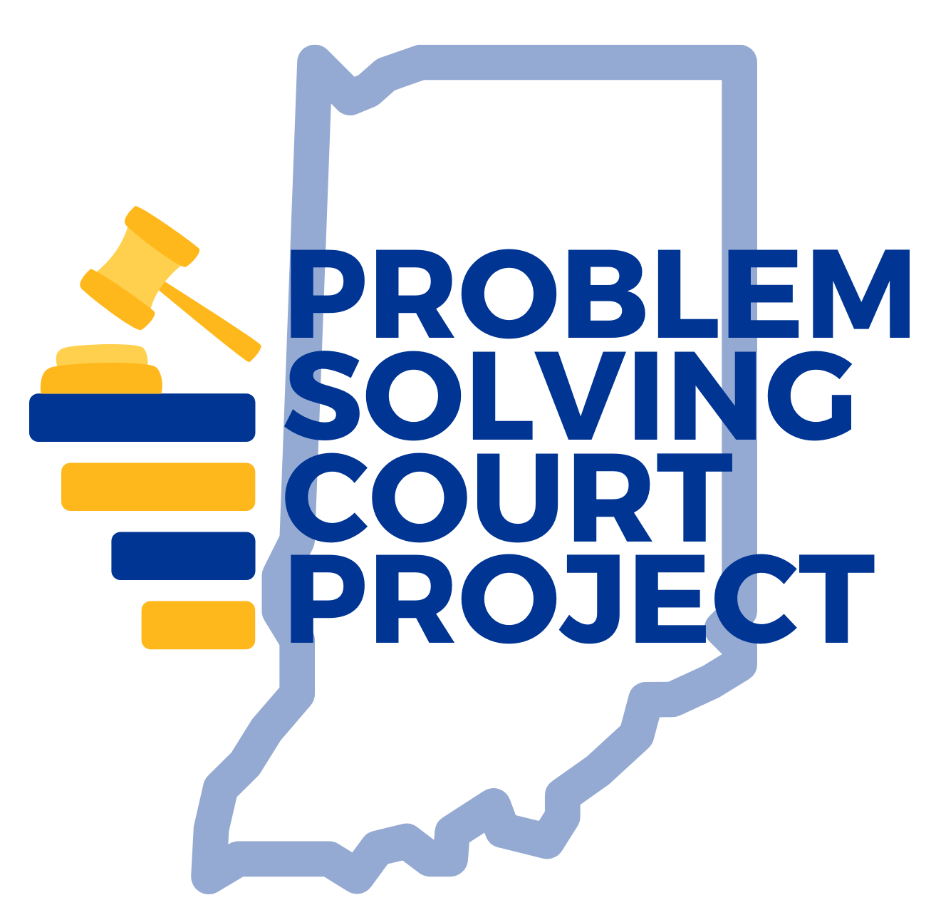 Problem Solving Court Project