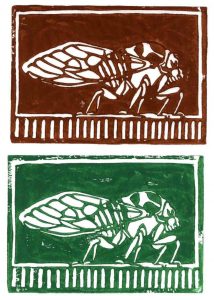 cicada-prints