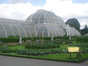 Kew Gardens 2