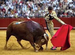 Matador bull-fighting