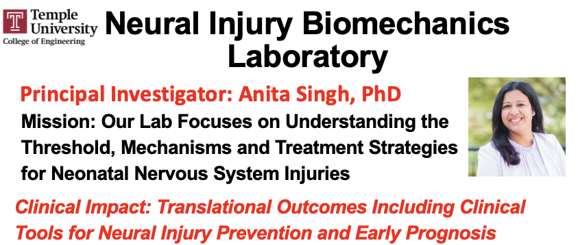 Neural Injury Biomechanics Laboratory