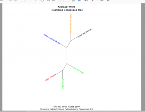 Consensus Tree Plot