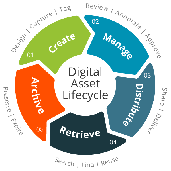 Digital Asset Lifecyle Diagram. Shows that digital assets are created, managed, distributed, retrieved, and archived.