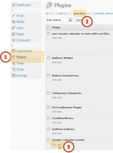 Activate Google Calendar Events plugin
